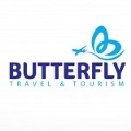 butterfly logo butterfly logo